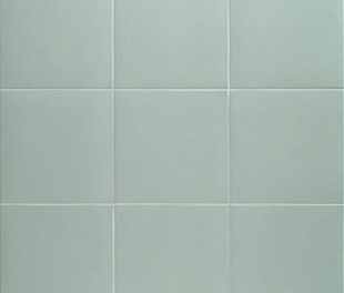 Technical Aloe 20х20