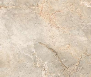 6502 Marble Silver Polished 60x120