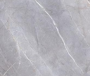 Плитка из керамогранита Kerama Marazzi Риальто 60x119.5 серый (SG562302R)