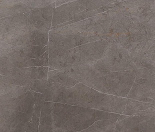 Плитка из керамогранита Marazzi Italy Evolutionmarble 58x116 серый (MH20)