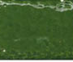 Плитка Monopole Marbella Calahonda 5x40 (1)