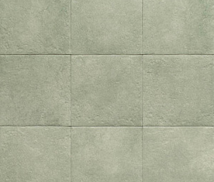 Green Seasons 20х20