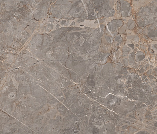 Керамогранит Realistik Miltonia Grey 60x120