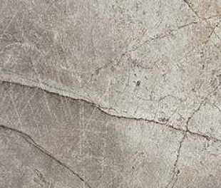 Плитка из керамогранита матовая Serenissima Cir Magistra 40x60.8 серый (1063343)