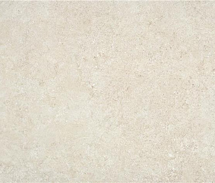 OREGON IVORY MT 60X120