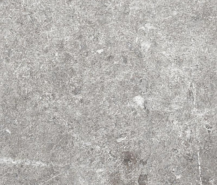 WINDSOR LIGHT GREY 20x40 8,5 мм