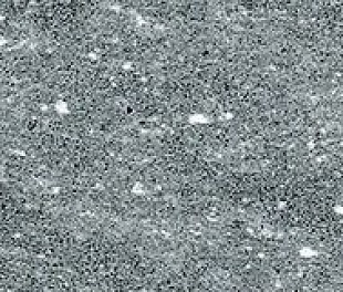 Плитка из керамогранита Italon Дженезис 7.2x60 серый (610130002155)