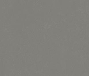 610010004157 Форум Слим Айрон 60X120