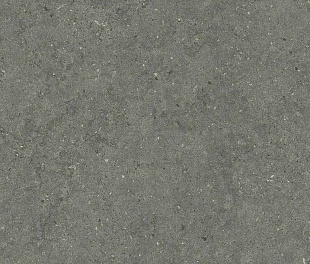 610010004169 Форум Стоун Айрон 60X120