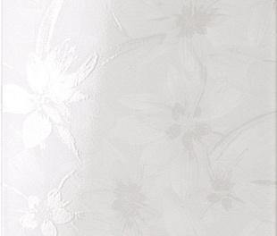 Плитка Atmosphere Absolu Dame Brillant 25х60