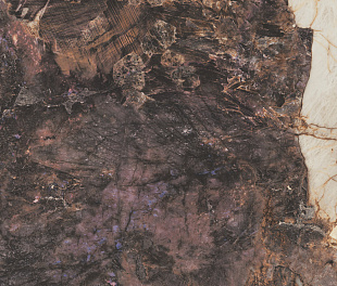 MAGALLANES PINK POL RECT 60X120