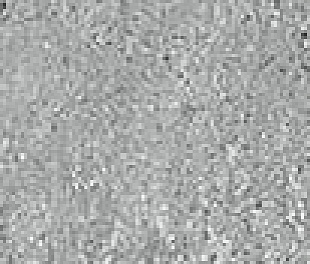 Плитка из керамогранита Estima Traffic 12х60 серый (TF03)
