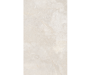 Керамическая плитка EVERWHITE RET(P) 60X120