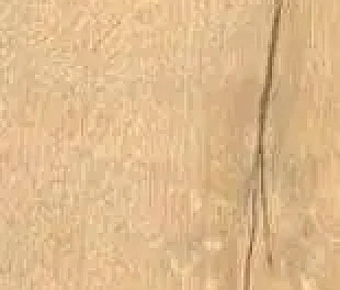 Плитка LE DOGHE OLMO 20X120