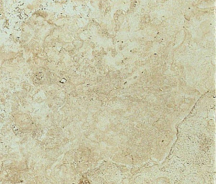 BONE 30x30 / Instone/ Edimax