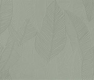 Aplomb Lichen Leaf Lux 50x120 (A6SI) 50х120