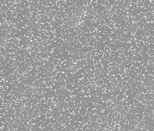 Valentino Grey 9294 100x100