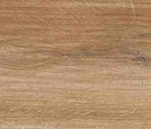 Apricot Honey 20X120