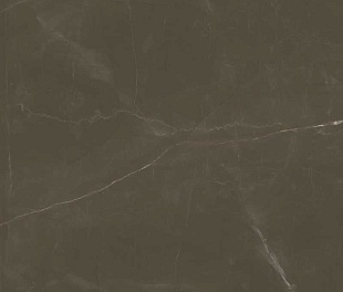 Плитка из керамогранита Marazzi Italy Grande Marble Look 120x240 коричневый (M11N)