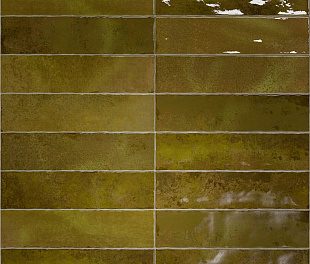 Керамическая плитка WB NAIROBI STICKS MOSS 2,5X10