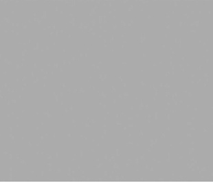 Exotic Light Grey 60х120 Matt