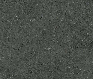 610010004171 Форум Стоун Петрол 60X120