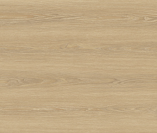 Керамогранит FORESTA Miel Matt+Carving 60x120