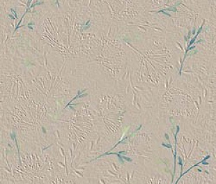 fTFD True Color Wind Flower 50x120 RT