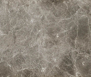 JOLIE GREY 74x74 lev/ Marmorea2/ Fioranese