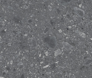 RCWW Realstone Ceppo Antracite Rett 60x120