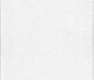 114733 Плитка FEZ WHITE MATT 6,25x12,5 см