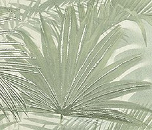 fRGJ Deco&More Tropical Green 25x75 RT