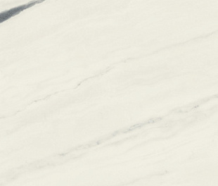 600010002406 КерГранит FORTE DEI MARMI PANDA WHITE RETT 120x120 см