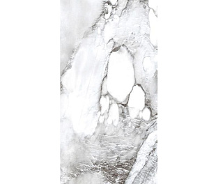 PR221 Керамогранит Acacia 60*120см polished 1,44м2