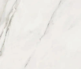 Плитка CALACATTA SUPERWHITE SATIN 60X120
