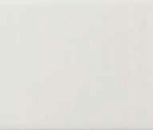 32405 Lumina White Alyssum 6х24