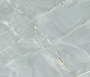 R_PR2019 Керамогранит William Grey 60*120см Polished 1,44м2