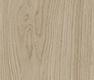CEDAR WOOD PINE