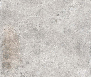 WINDSOR LIGHT GREY RET 60x120  8,5 мм