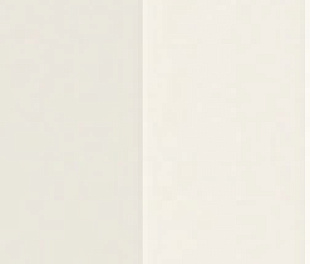 131800 Плитка FACES HILL WHITE GLOSS 5x40 см