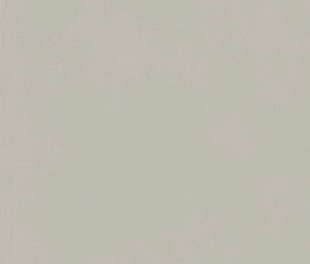 610010004156 Форум Слим Сильвер 60X120