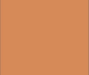 Плитка из керамогранита Kerama Marazzi Гармония 30x30 оранжевый (SG924700N)