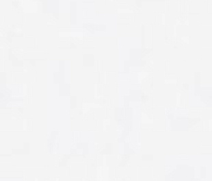 73600 Concept Light Grey 80x160