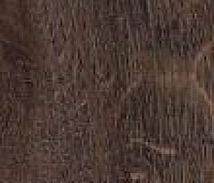 Плитка из керамогранита Kerama Marazzi Арсенале 20x119.5 коричневый (SG515800R)