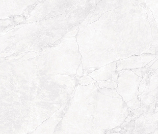 ARCTIC WHITE