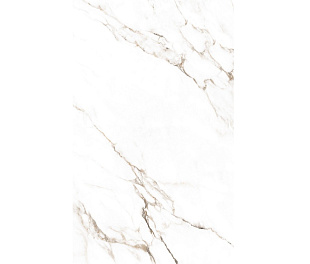 Statuario Castork 80х160