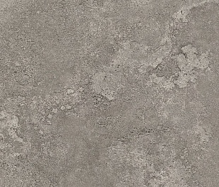 Керамическая плитка для стен Kerama Marazzi Паддингтон 50.2x50.2 серый (4595)
