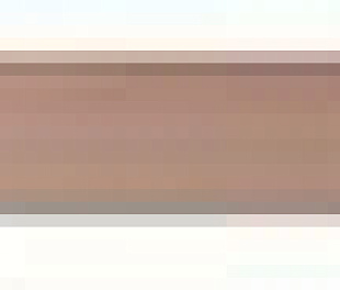 4D Profile Gold Rose 2x80