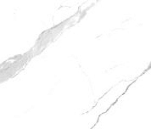 67400 Statuario 120x240