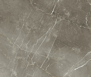 Плитка из керамогранита Italon Стелларис 80x160 серый (610015000688)